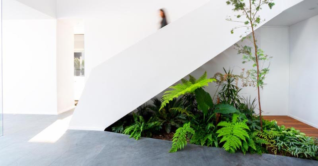 Bikin Rumah Makin Cantik, Yuk Coba 5 Dekorasi di Bawah Tangga Ini