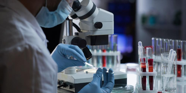 Antibodi Penyintas Covid-19 Dapat Bertahan Sampai 12 Bulan