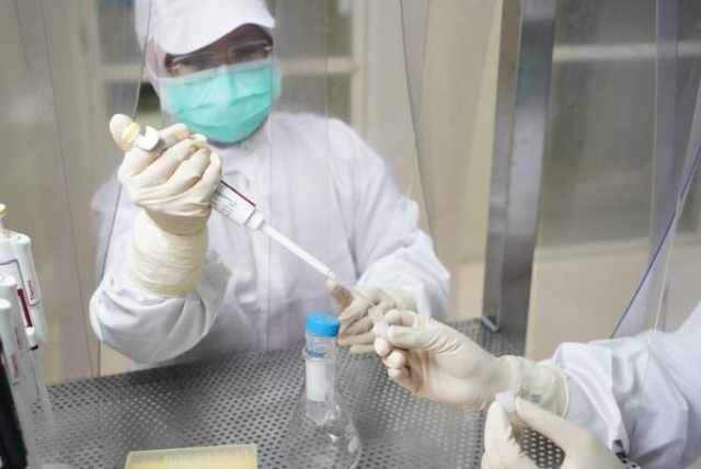 Kasus Covid-19 Melonjak Akibat Mutasi Virus yang Merajalela