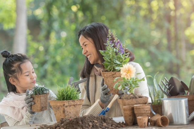 Berkebun Bareng Keluarga Punya Banyak Manfaat, Apa Saja?