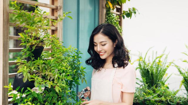Berkebun Bareng Keluarga Punya Banyak Manfaat, Apa Saja?