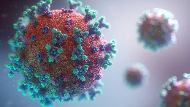 Ini 5 Fakta Soal Adenovirus, Termasuk Gejala dan Cara Penyebarannya