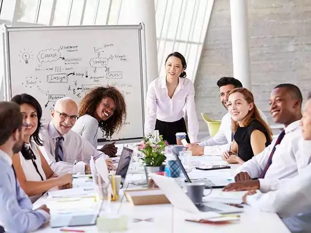 Mengenal Fungsi Team Leader dan Sejumlah Tugasnya