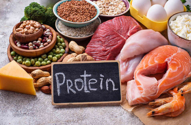 Tingkatkan Asupan Protein untuk Mempercepat Metabolisme