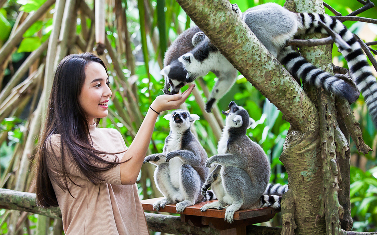 5 Destinasi Kebun Binatang di Indonesia, Kamu Pernah Kesini?
