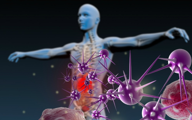 Mengenal Imunitas Tubuh: Peran Penting dan Cara Kerjanya