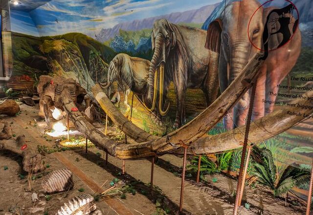 5 Wisata Edukasi Terpopuler Ini Wajib Masuk Itinerary