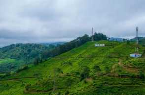 Liburan di Jawa Barat? Ini 5 Wisata Puncak Terbaru & Tipsnya