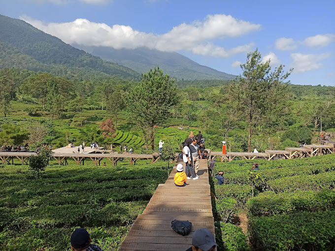 Liburan di Jawa Barat? Ini 5 Wisata Puncak Terbaru & Tipsnya