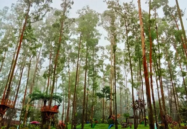 Menarik! Ini 7 Tempat Wisata di Berastagi Paling Populer