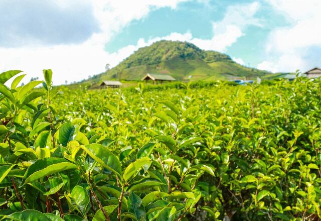 8 Tempat Wisata di Makassar yang Wajib Masuk List