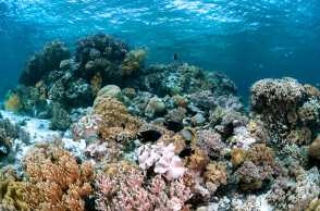 7+ Wisata Bahari di Sulawesi Tenggara Ini Patut Dikunjungi
